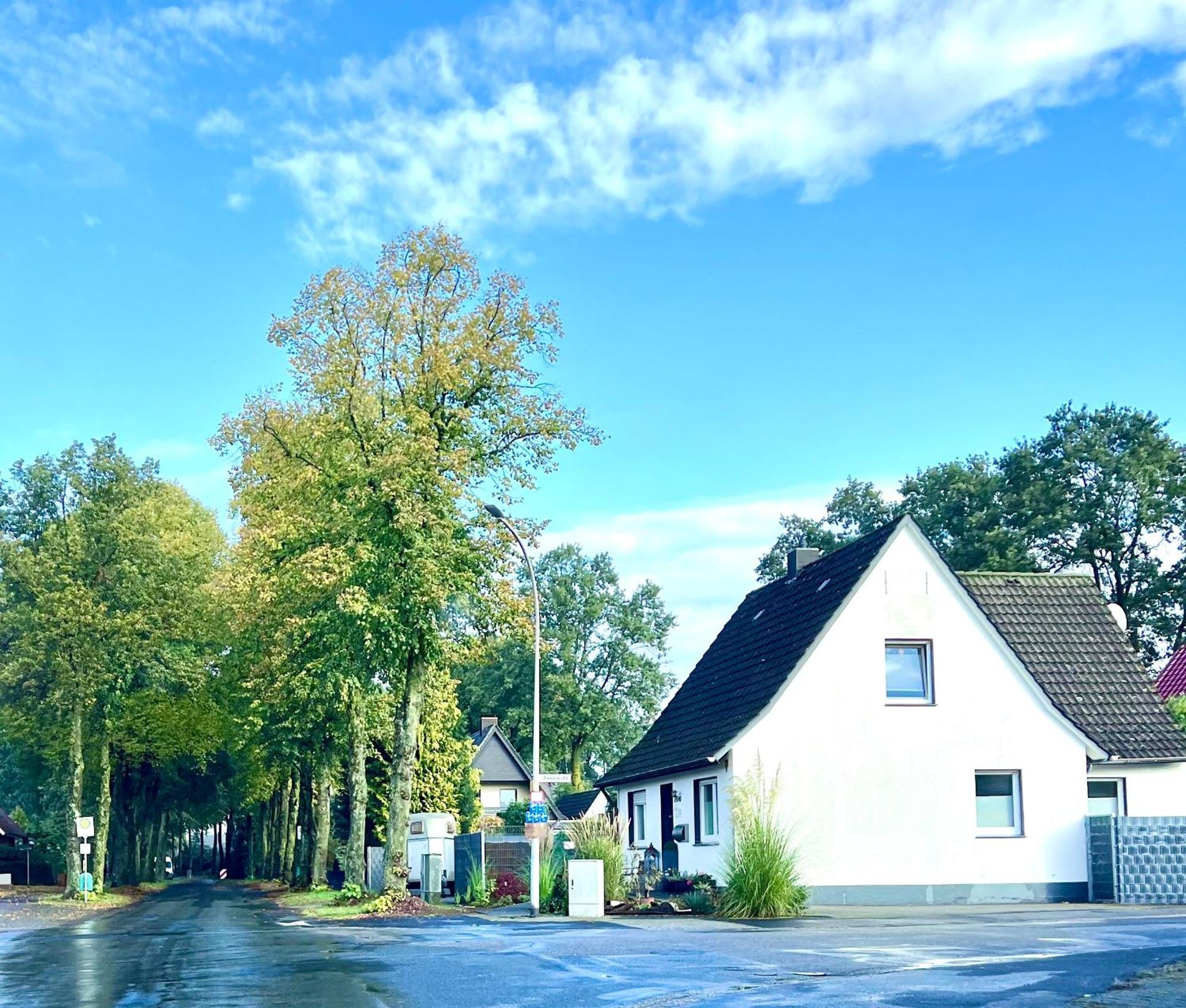 Allee Zum See Schuettorf Exteriér fotografie